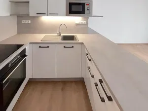 Pronájem bytu 2+kk, Brno, U Červeného mlýna, 53 m2