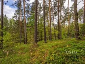 Prodej pozemku pro bydlení, Hamr na Jezeře, Děvínská, 1647 m2