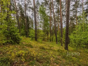 Prodej pozemku pro bydlení, Hamr na Jezeře, Děvínská, 1647 m2