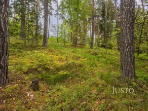 Prodej pozemku pro bydlení, Hamr na Jezeře, Děvínská, 1647 m2
