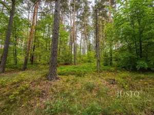 Prodej pozemku pro bydlení, Hamr na Jezeře, Děvínská, 1647 m2