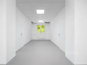 Pronájem ordinace, Liberec - Liberec IV-Perštýn, Dr. Milady Horákové, 30 m2
