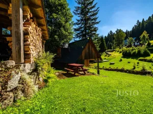 Prodej chalupy, Josefův Důl - Karlov, 430 m2