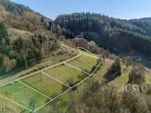Prodej pozemku pro bydlení, Líšný - Líšný 2.díl, 6114 m2