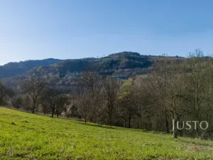 Prodej pozemku pro bydlení, Líšný - Líšný 2.díl, 6114 m2