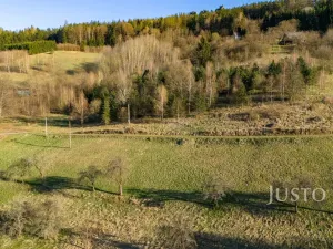 Prodej pozemku pro bydlení, Líšný - Líšný 2.díl, 6114 m2