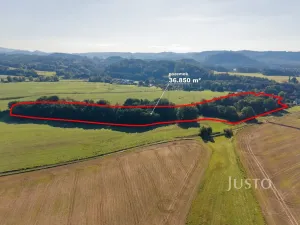 Prodej rodinného domu, Hamr na Jezeře - Břevniště, 503 m2