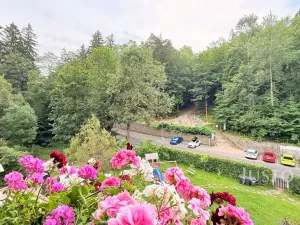 Pronájem bytu 3+kk, Liberec - Liberec I-Staré Město, Fibichova, 79 m2