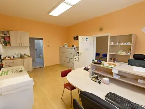 Prodej vily, Hostouň, Petra Bezruče, 320 m2