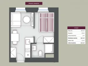 Pronájem bytu 2+kk, Praha - Dejvice, Studentská, 25 m2