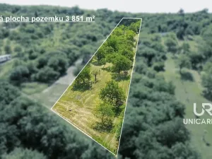 Prodej pole, Židlochovice, 3851 m2