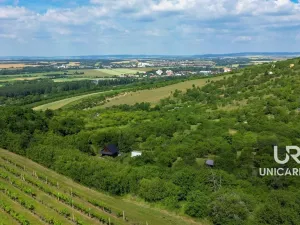 Prodej pole, Židlochovice, 3851 m2