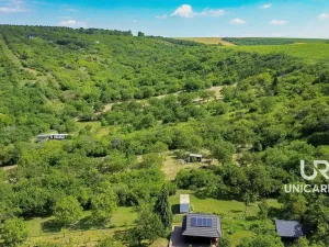 Prodej pole, Židlochovice, 3851 m2