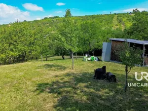 Prodej pole, Židlochovice, 3851 m2