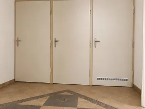 Prodej bytu 4+1, Hradec Králové - Pražské Předměstí, Drahoňovského, 123 m2