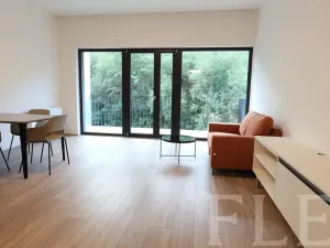 Pronájem bytu 1+kk, Praha - Žižkov, Hartigova, 48 m2
