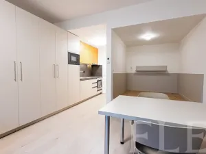 Pronájem bytu 1+kk, Praha - Žižkov, Hartigova, 34 m2