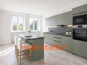 Pronájem bytu 4+kk, Havířov - Město, U Stromovky, 81 m2