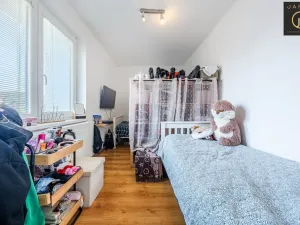 Prodej bytu 3+1, Bitozeves, 71 m2