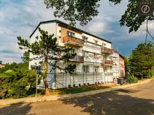 Prodej bytu 3+1, Bitozeves, 71 m2