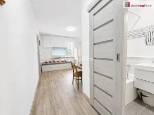 Pronájem bytu 1+1, Ústí nad Labem - Mojžíř, Peškova, 34 m2