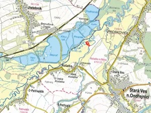 Prodej louky, Stará Ves nad Ondřejnicí, 7303 m2