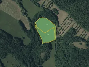 Prodej louky, Třebenice, 10632 m2