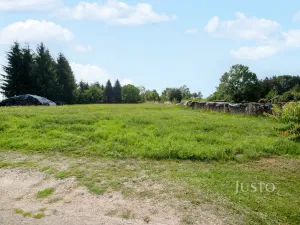 Prodej pozemku pro bydlení, Úsobí - Kosovy, 2476 m2