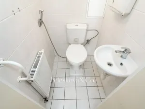 Prodej bytu 2+kk, Dolní Břežany, Za Sídlištěm, 58 m2