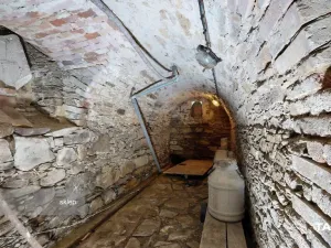 Prodej zemědělské usedlosti, Teplá - Beranov, 146 m2