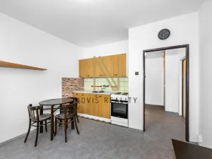 Pronájem bytu 1+kk, Plzeň, Čermákova, 22 m2