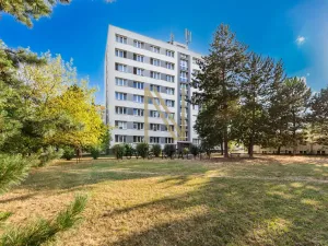 Pronájem bytu 1+kk, Plzeň, Čermákova, 22 m2