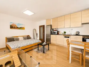 Pronájem bytu 1+kk, Slavkov u Brna, 31 m2