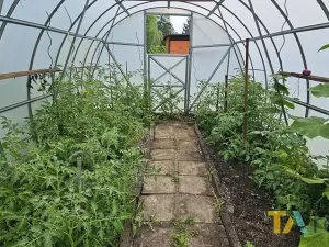 Prodej chaty, Karviná, Brožíkova II, 16 m2