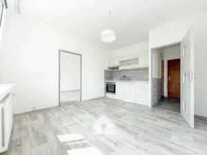 Prodej bytu 1+1, Jílové, 36 m2