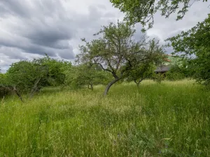 Prodej pozemku pro bydlení, Bubovice, Krátká, 1835 m2