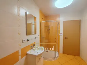 Pronájem bytu 2+kk, Velké Pavlovice, 37 m2