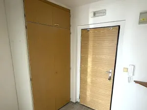 Pronájem bytu 1+1, Mladá Boleslav, Zalužanská, 37 m2