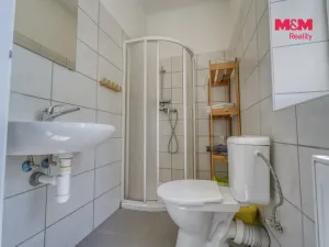 Prodej ubytování, Pňovany, 450 m2