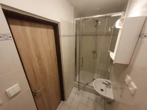 Pronájem bytu 1+kk, Hradec Králové - Nový Hradec Králové, Brožíkova, 22 m2