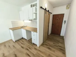 Pronájem bytu 1+kk, Chlumec, Zákoutí, 19 m2