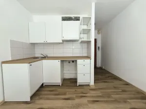 Pronájem bytu 1+kk, Chlumec, Zákoutí, 19 m2