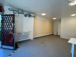 Pronájem obchodního prostoru, Most, U Stadionu, 23 m2