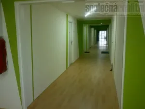 Pronájem bytu 1+kk, Praha - Záběhlice, Topolová, 40 m2