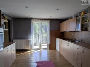 Prodej rodinného domu, Bílina - Pražské Předměstí, Pražská, 252 m2