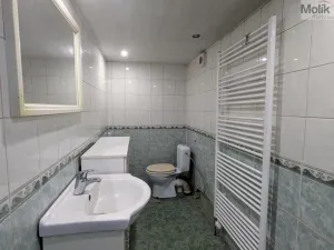 Prodej rodinného domu, Bílina - Pražské Předměstí, Pražská, 252 m2