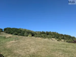 Prodej rodinného domu, Bílina - Pražské Předměstí, Pražská, 252 m2