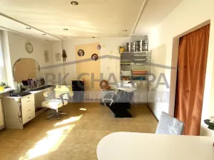 Prodej bytu 1+kk, České Budějovice - České Budějovice 2, Ant. Barcala, 32 m2