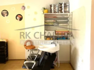 Prodej bytu 1+kk, České Budějovice - České Budějovice 2, Ant. Barcala, 32 m2
