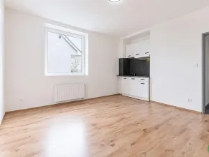 Pronájem bytu 1+kk, Praha - Břevnov, Na břevnovské pláni, 22 m2